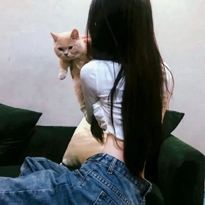 猛虎嗅蔷薇之替天行盗